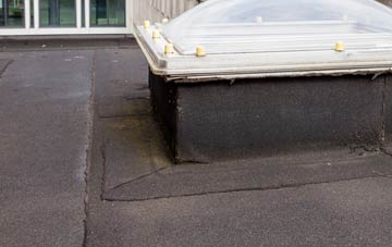 disadvantages of Stoborough Green flat roofs