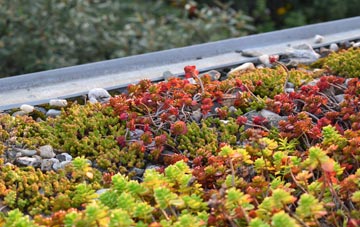 the cost of Stoborough Green green roof installation